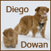 Diego en Dowan.
