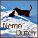 Nemo en Dutch.